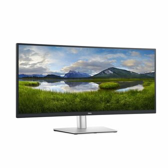 DELL P Series 34-inch gebogen USB-C-monitor - P3421W