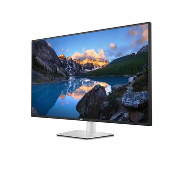 DELL UltraSharp U4323QE LED display 109,2 cm (43&quot;) 3840 x 2160 Pixels 4K Ultra HD LCD Zilver