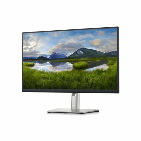 DELL P Series 24 USB-C-hubmonitor: P2423DE