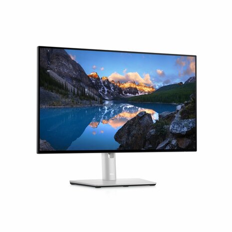 DELL UltraSharp 24 USB-C-hubmonitor: U2422HE