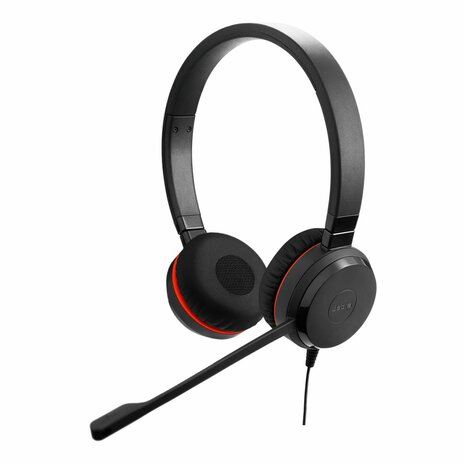 Jabra Evolve 20 Bedraade USB On-Ear Headset Stereo (Zwart)